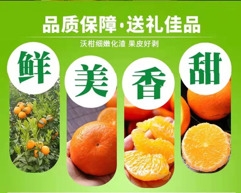 全国一件代发云南高原沃柑当季水果现采现发
