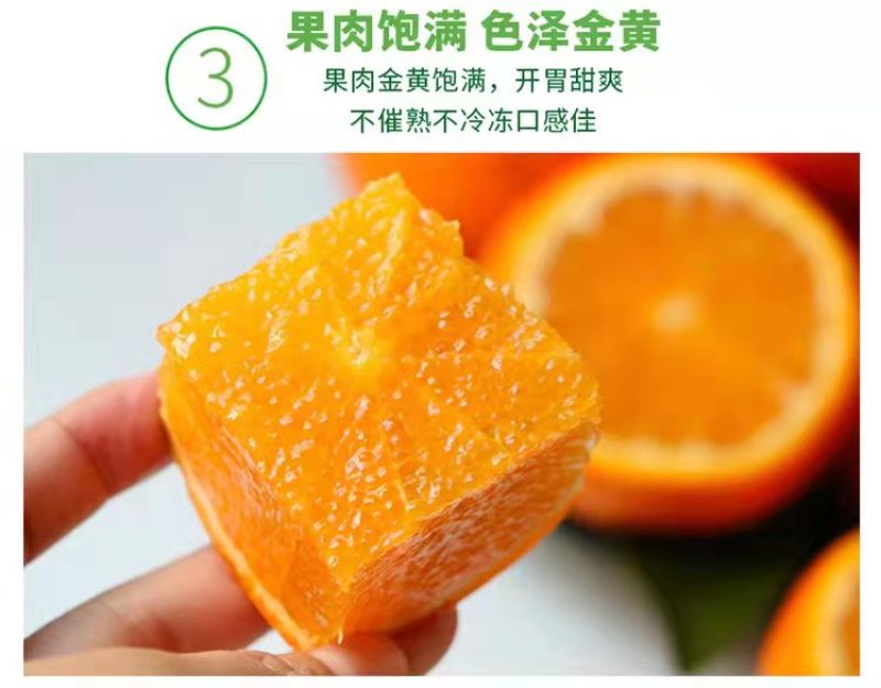 全国一件代发云南高原沃柑当季水果现采现发