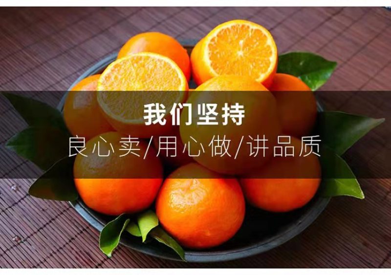 全国一件代发云南高原沃柑当季水果现采现发