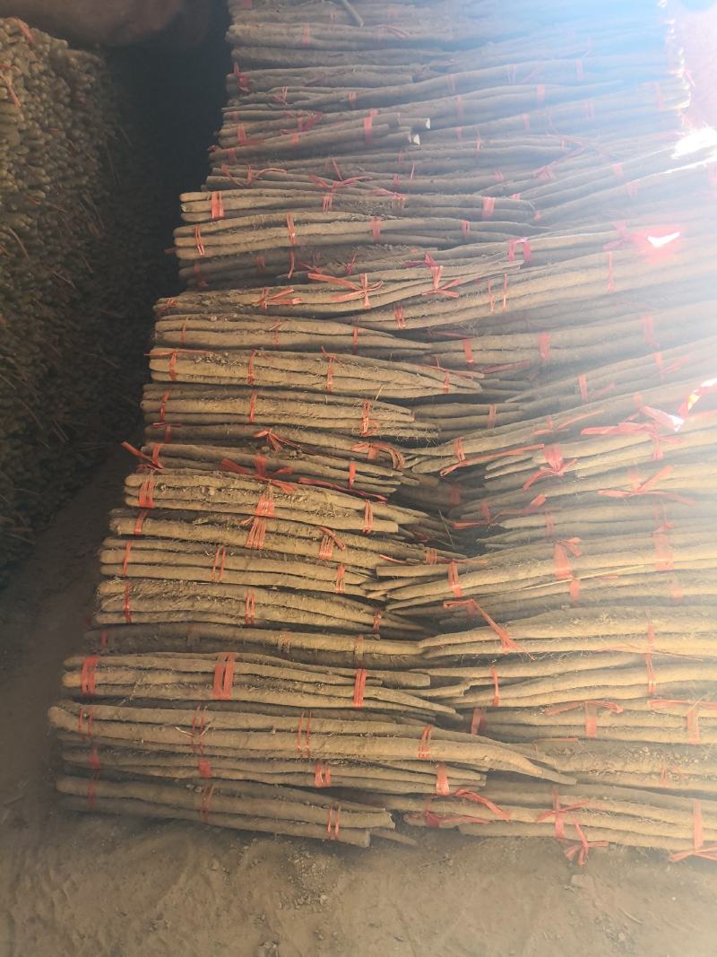 河北大名白玉山药长条，精选二路山药，无裂口条形好，