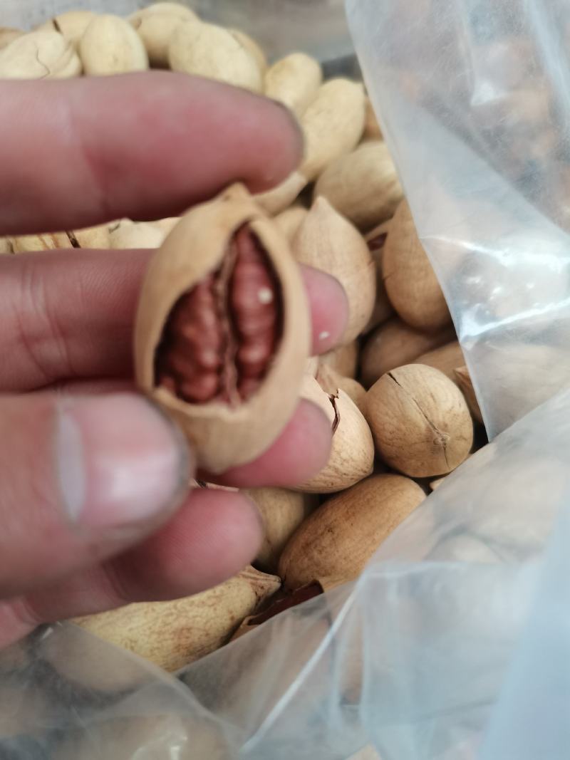 厂家直销美国进口碧根果奶香味碧根果包退包换放心购买