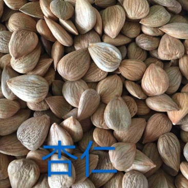 电商对接平台抖音直播带货新疆阿克苏杏仁质量保障产地直发