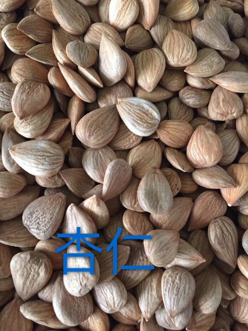 电商对接平台抖音直播带货新疆阿克苏杏仁质量保障产地直发
