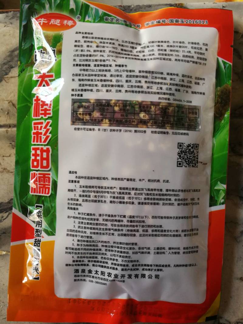 大棒彩甜糯，菜用型甜糯玉米。