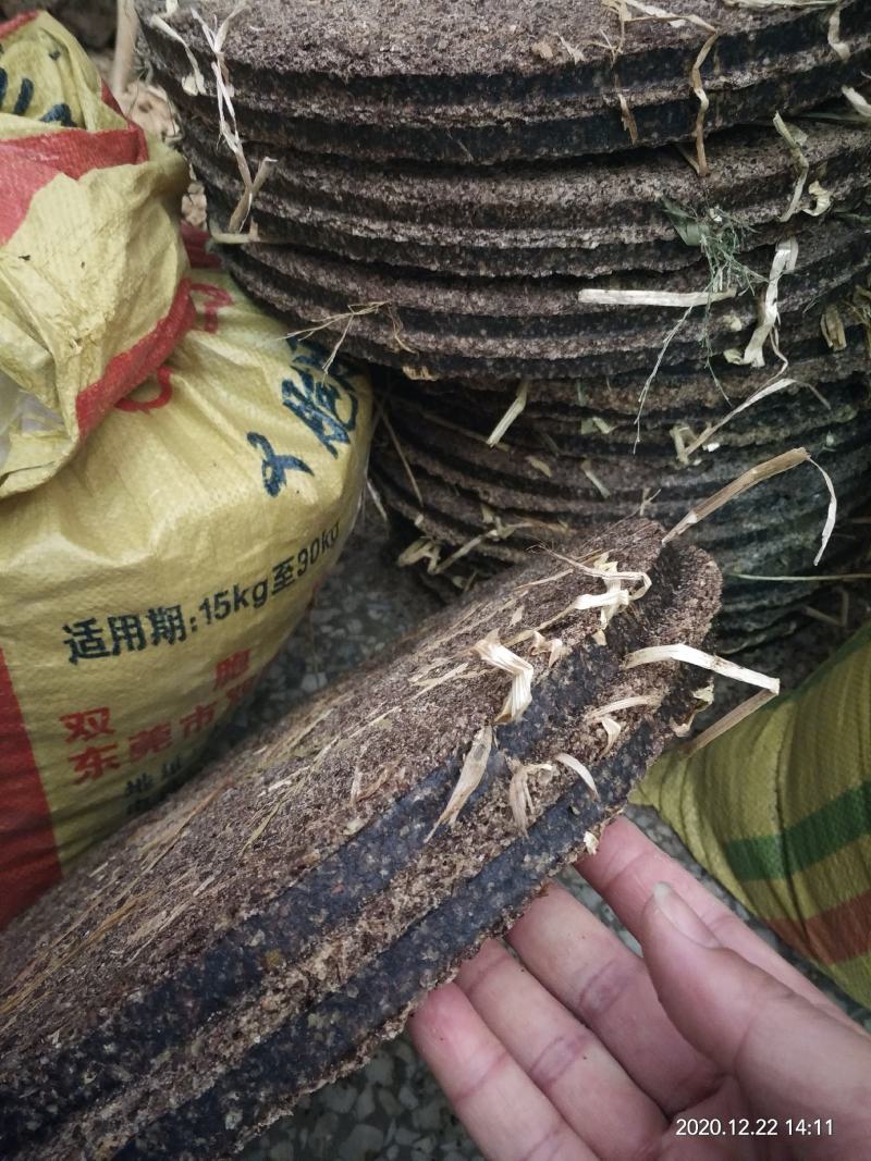 山茶油、广西大瑶山茶油土压榨茶油传统工艺