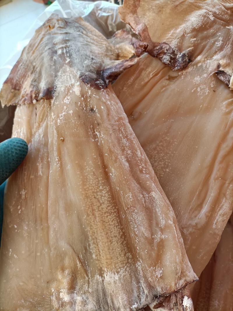 淡干鱿鱼鱿鱼干深海干鱿鱼干鱿鱼新货
