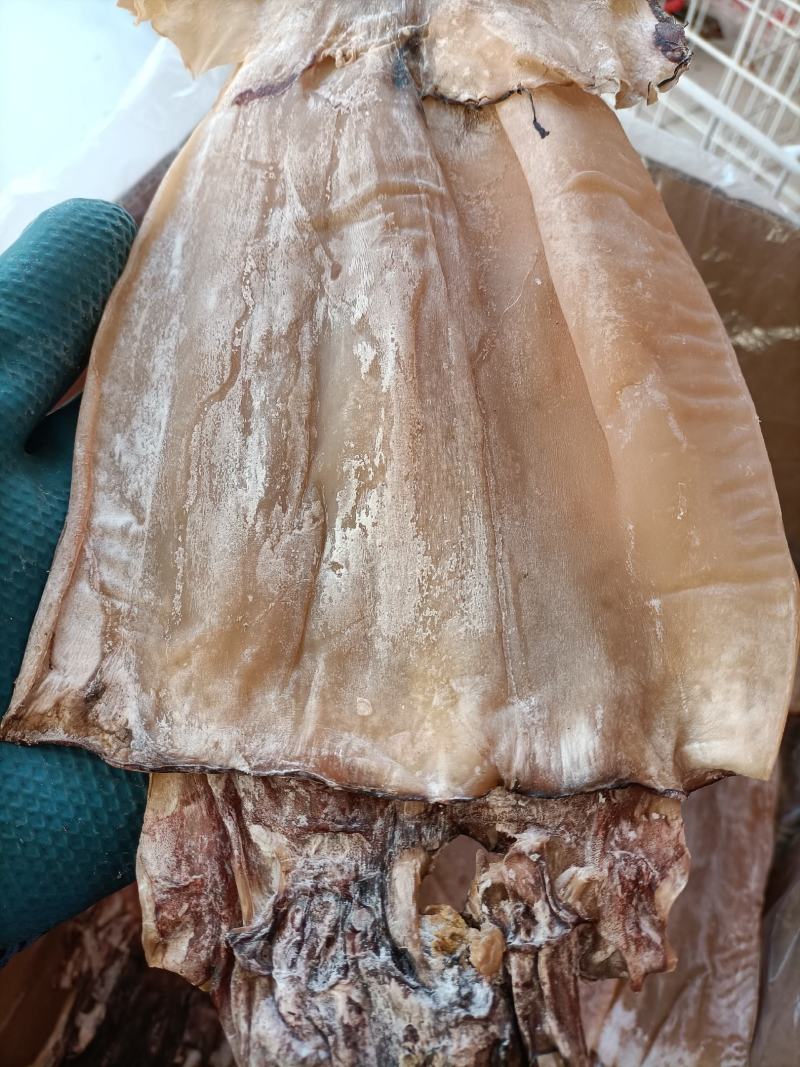 淡干鱿鱼鱿鱼干深海干鱿鱼干鱿鱼新货