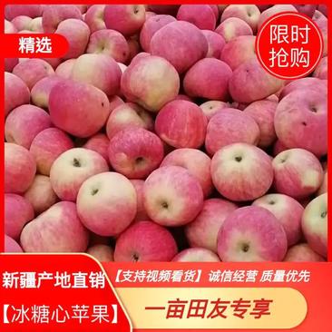 新疆阿克苏冰糖心苹果（产地直销）一手货源全国批发量大价优