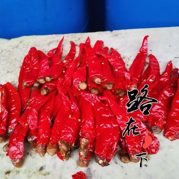 2022年天津腌制辣椒火爆出货中各大厂家出货，出口质量