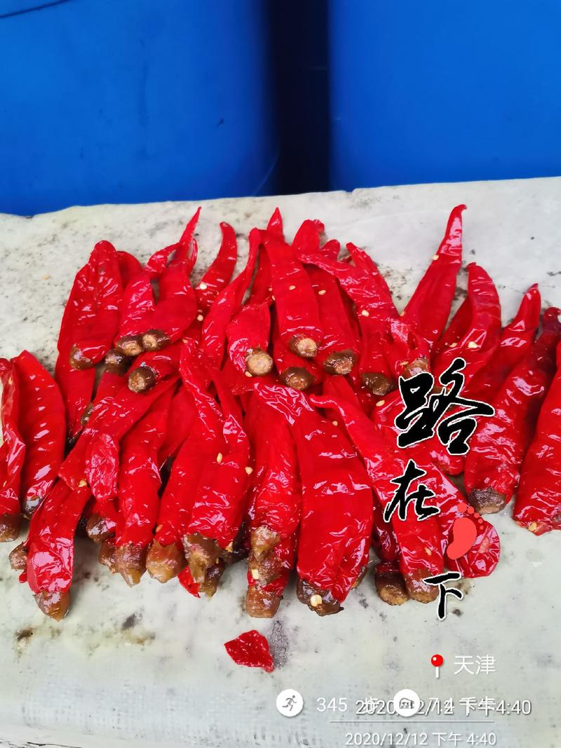 2022年天津腌制辣椒火爆出货中各大厂家出货，出口质量