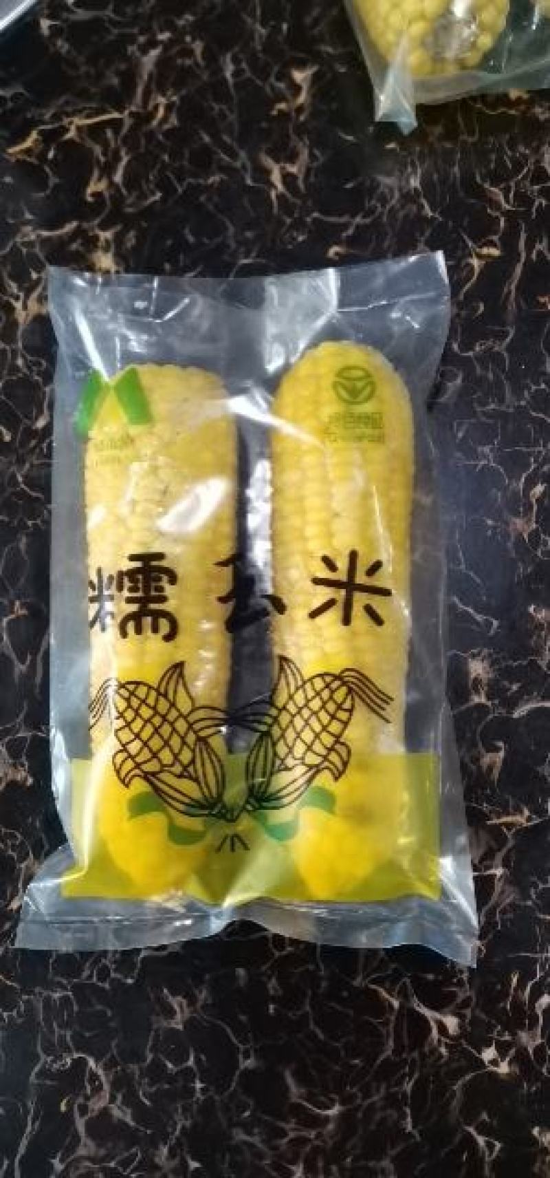 绿山农小黄粘玉米黑龙江大庆萨尔图区种植基地
