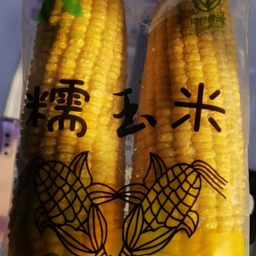 绿山农小黄粘玉米黑龙江大庆萨尔图区种植基地