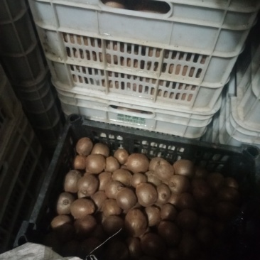 自家种植，口感纯正，一件起发