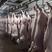 鲜肉白毛猪肉批发价合肥区域可提供配送上门服务