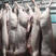 鲜肉白毛猪肉批发价合肥区域可提供配送上门服务