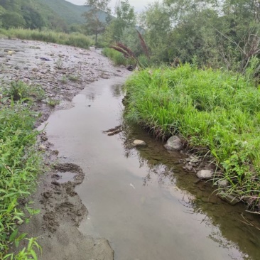 长白山老克里湖山脚下林场蜂蜜