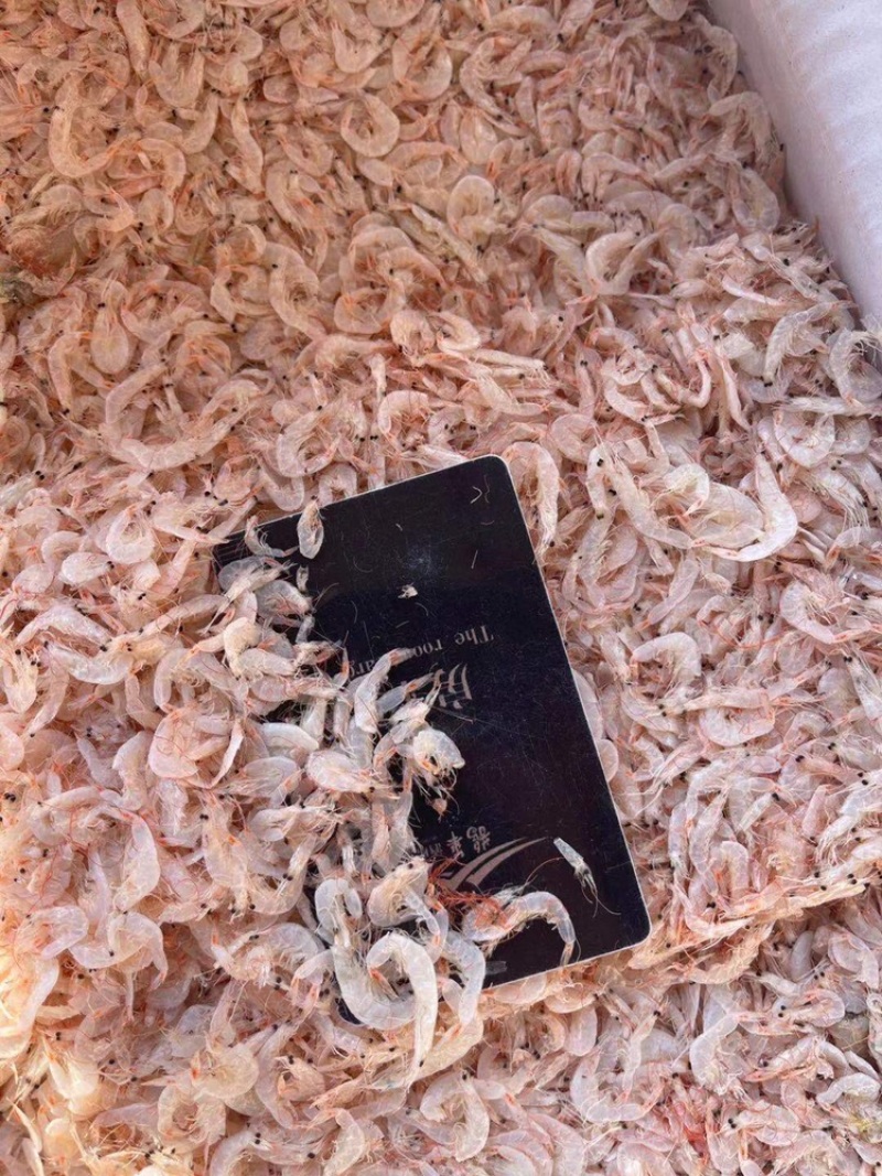 无盐淡干虾皮低价位电商拼多多跑市场货