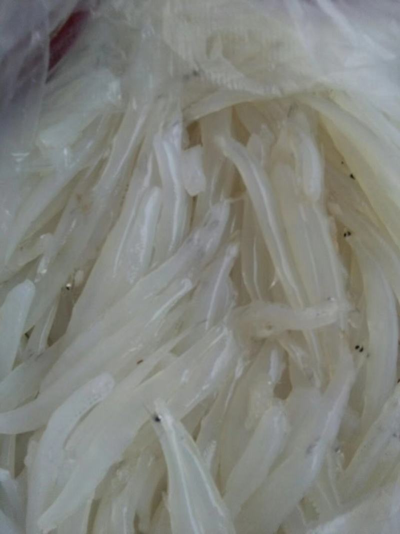 冻板银鱼鲜银鱼银鱼干