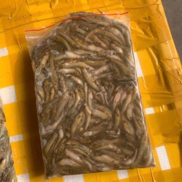 小黄鱼冻板小黄鱼黄鱼干
