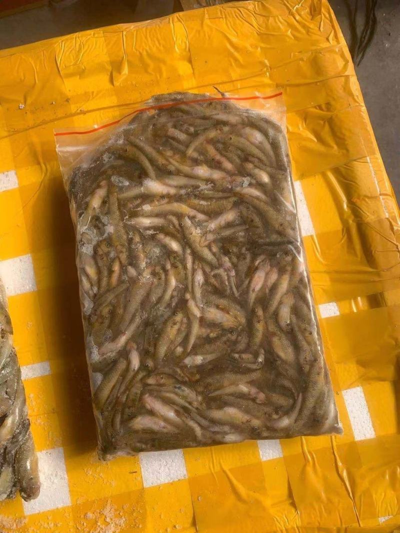 小黄鱼冻板小黄鱼黄鱼干