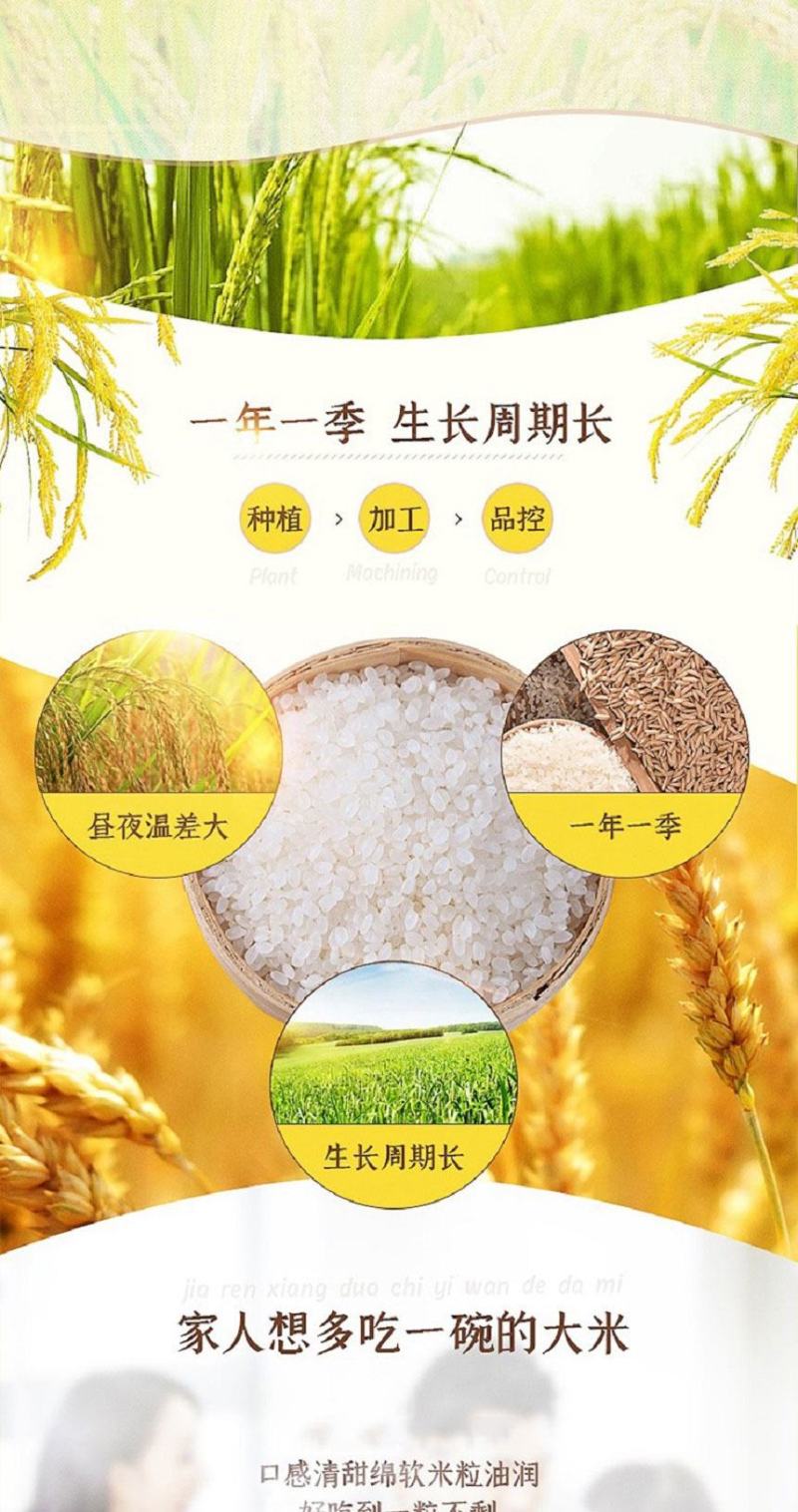 东北大米珍珠园粒大米
