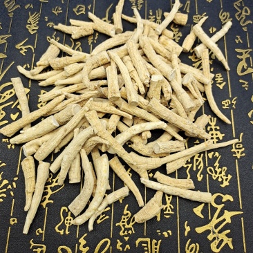 西洋参大丁年头老含量足价格低和大参功效一样
