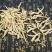 西洋参大丁年头老含量足价格低和大参功效一样