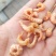 金钩海米，对虾米，各种价位大量现货，不包邮批发价