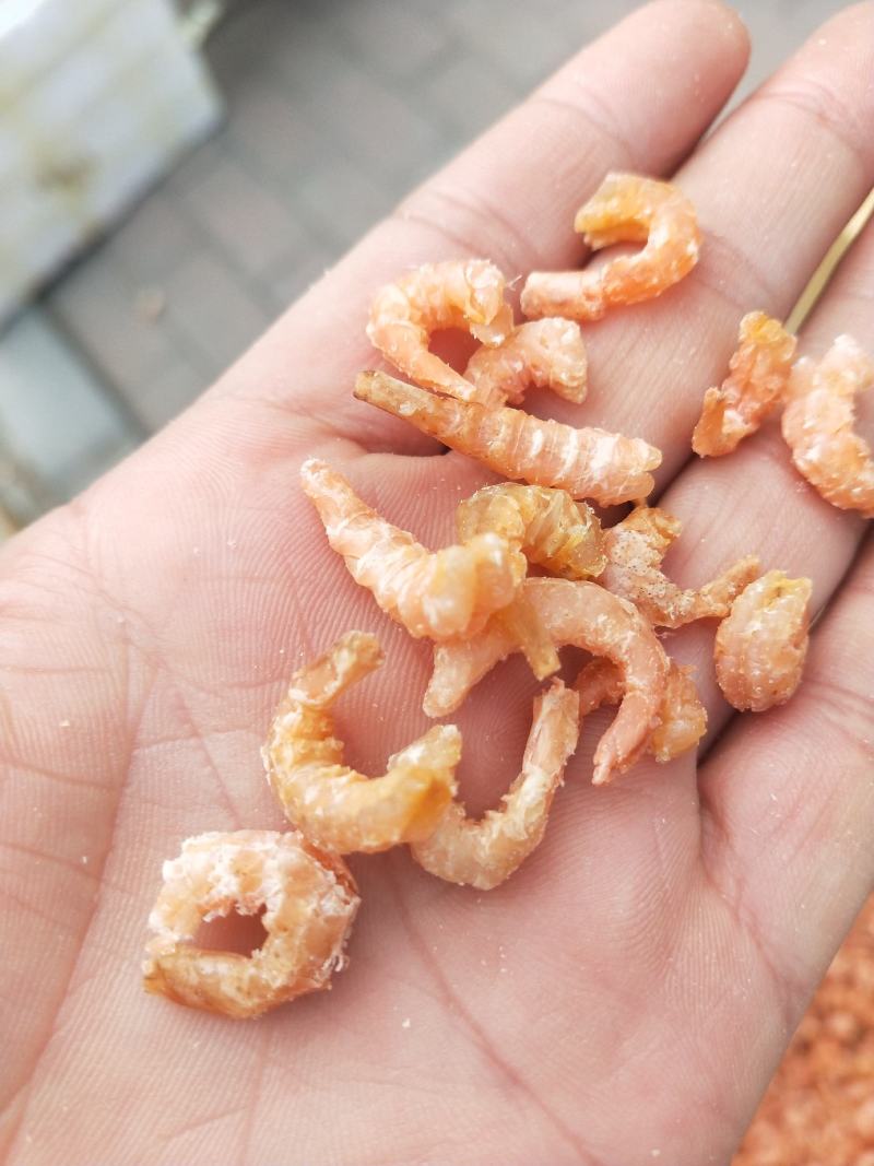 金钩海米，对虾米，各种价位大量现货，不包邮批发价