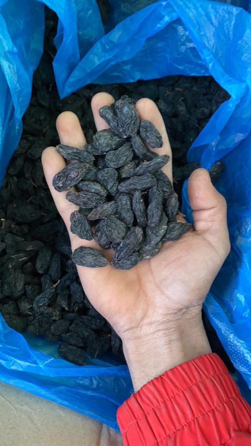 2022年吐鲁番绿宝石葡萄干，一手货源产地直发