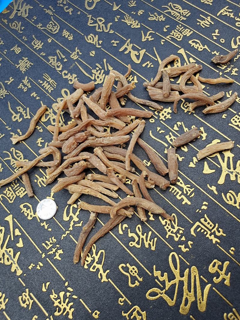 暴款《红参丁》含量足年头老效果和大参一样价格低