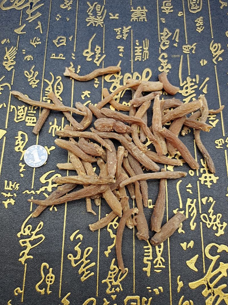 暴款《红参丁》含量足年头老效果和大参一样价格低