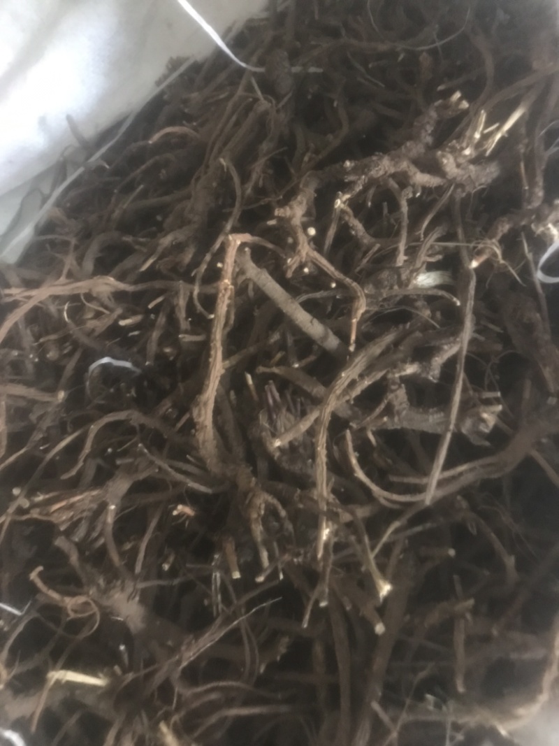 山西各种野生中药材批发