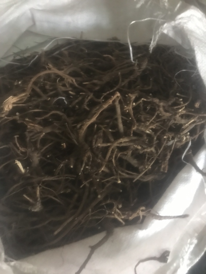 山西各种野生中药材批发