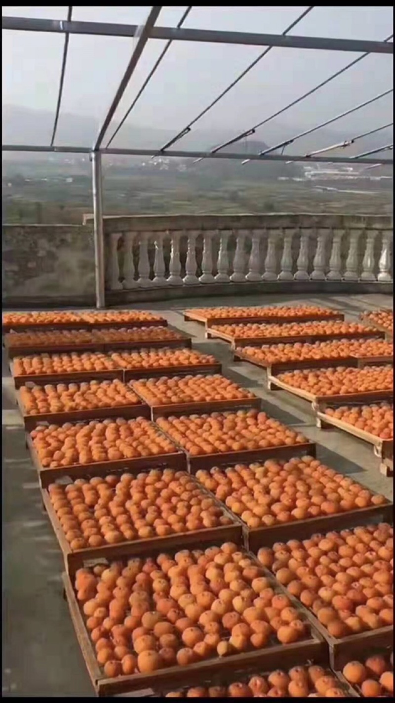 平乐柿饼天然手工健康营养