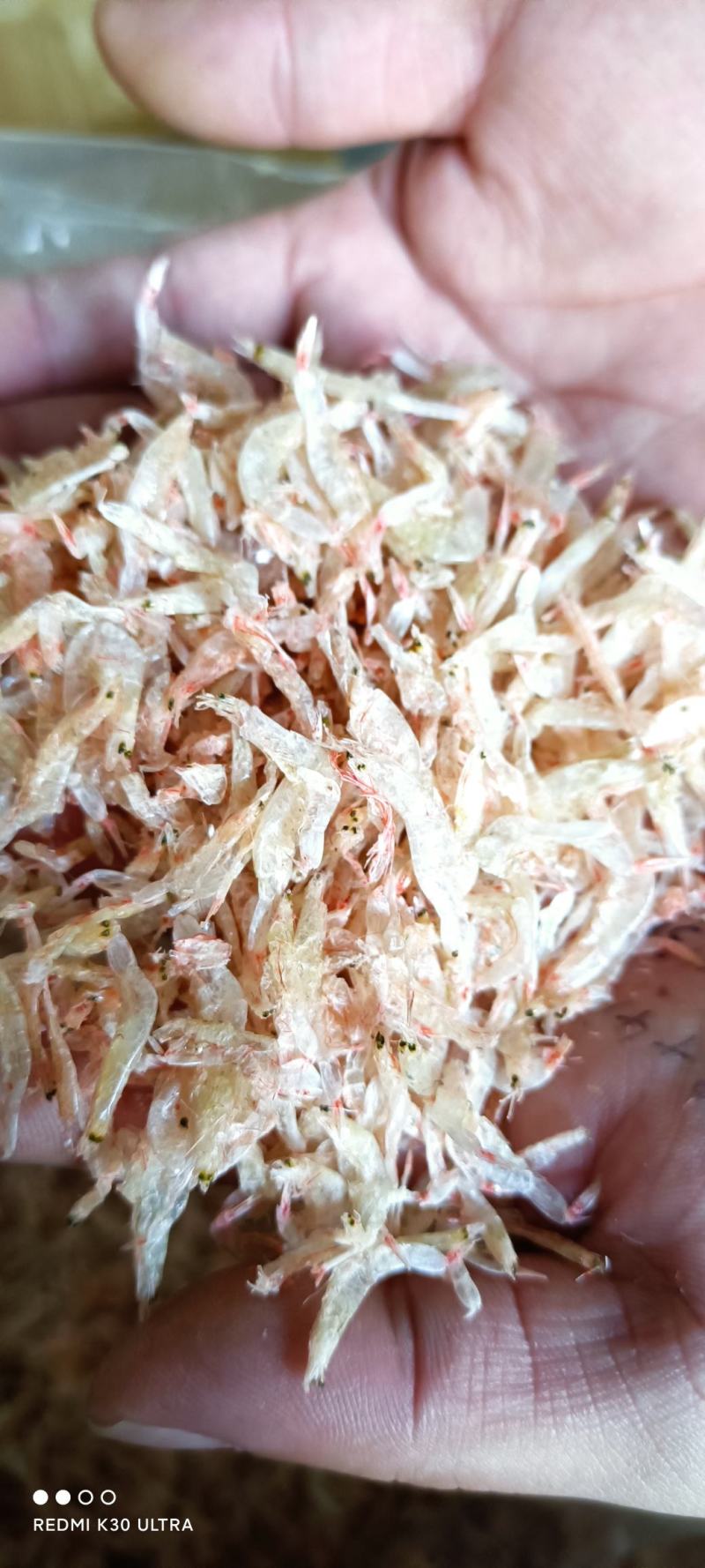 源头产地供应优质虾皮