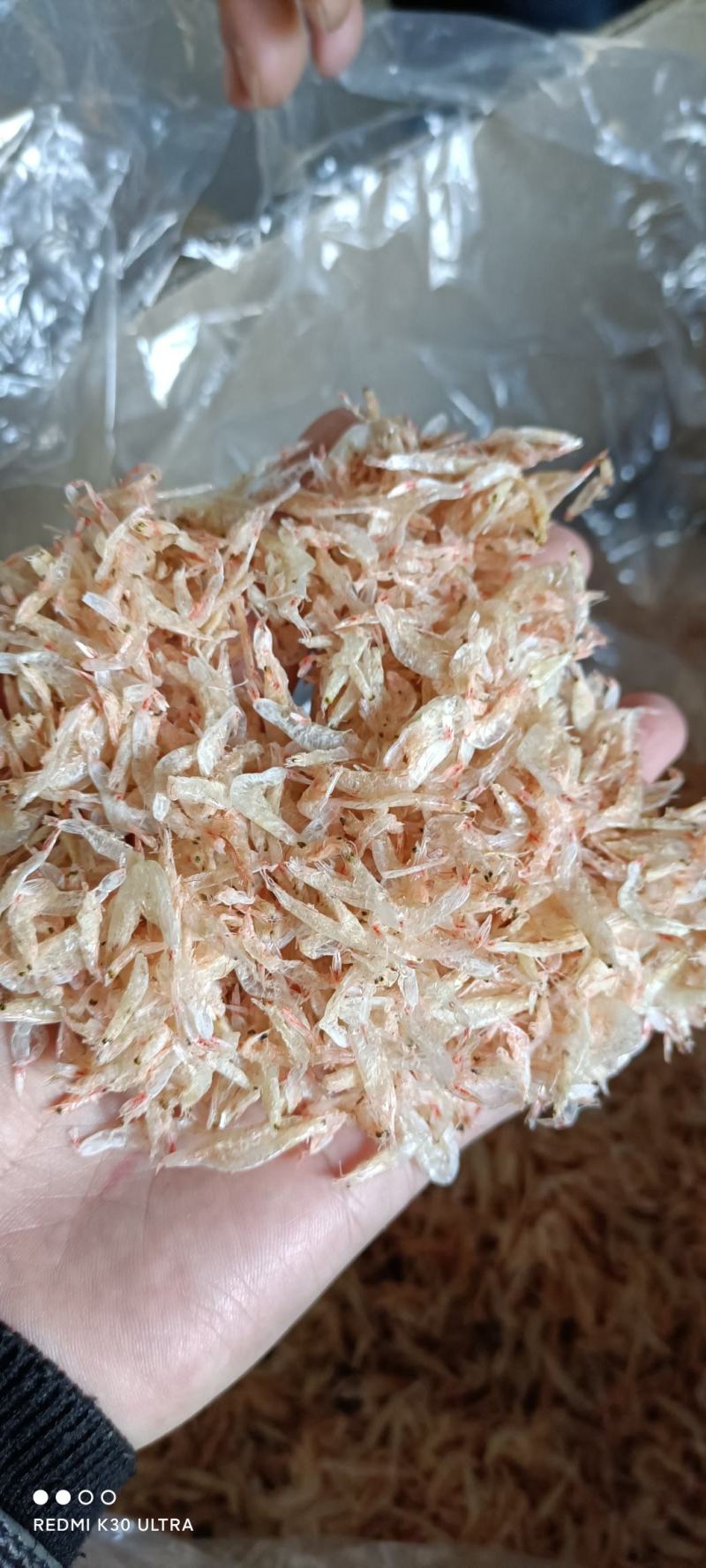 源头产地供应优质虾皮