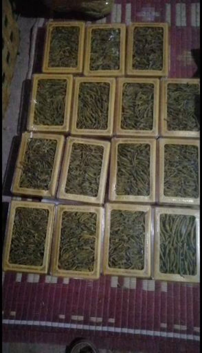 柬埔寨野生虎牙石斛，规格齐全，（野生假一赔百）