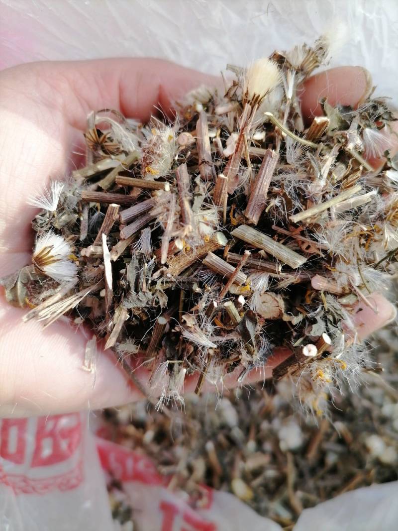 千里光：野生：零售：大货批发：可交药厂：一手货源片子个子