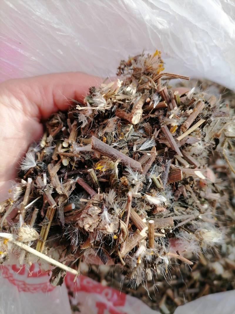 千里光：野生：零售：大货批发：可交药厂：一手货源片子个子
