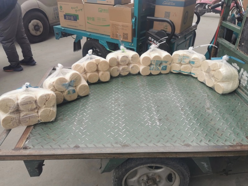 金针菇到货了，欢迎抢购