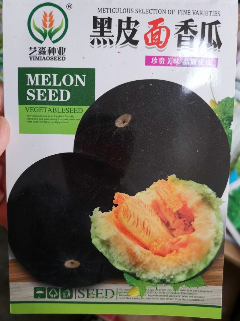 黑皮面瓜甜瓜种子甜度高口感好