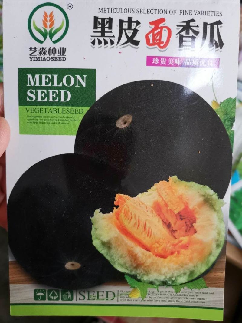 黑皮面瓜甜瓜种子甜度高口感好