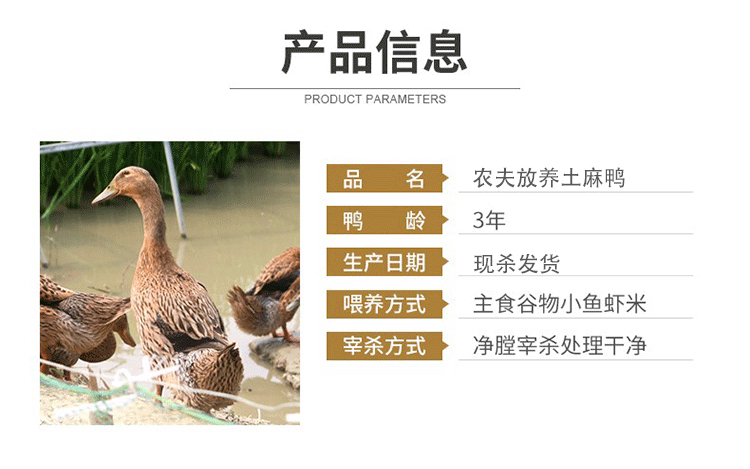 新鲜现杀大麻鸭农村放养散养三年土鸭盐水鸭子肉整只煲汤黑嘴