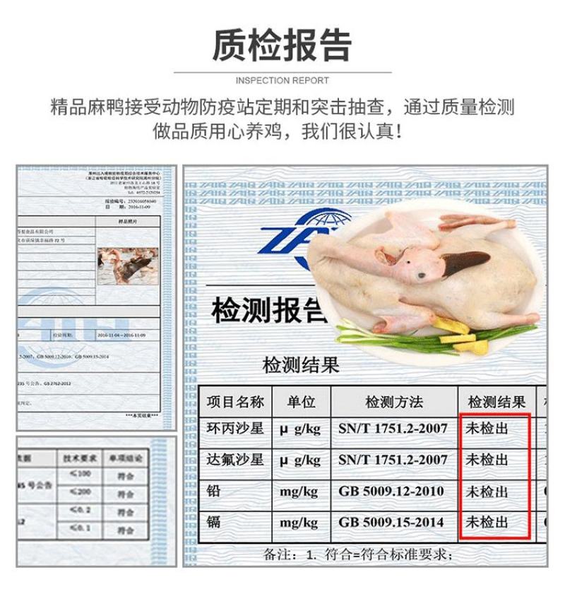 新鲜现杀大麻鸭农村放养散养三年土鸭盐水鸭子肉整只煲汤黑嘴