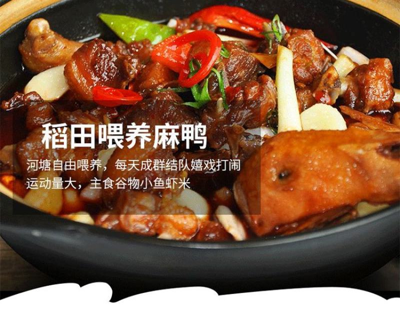 新鲜现杀大麻鸭农村放养散养三年土鸭盐水鸭子肉整只煲汤黑嘴
