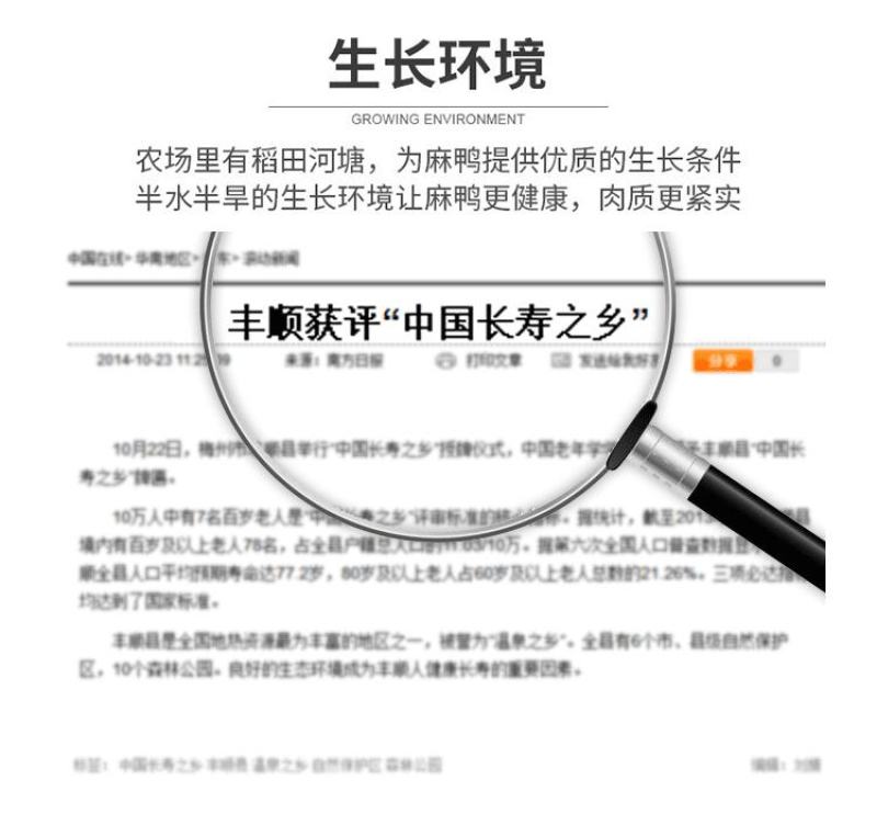 新鲜现杀大麻鸭农村放养散养三年土鸭盐水鸭子肉整只煲汤黑嘴