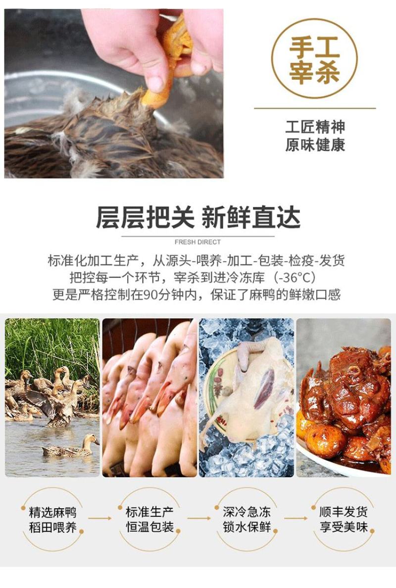 新鲜现杀大麻鸭农村放养散养三年土鸭盐水鸭子肉整只煲汤黑嘴