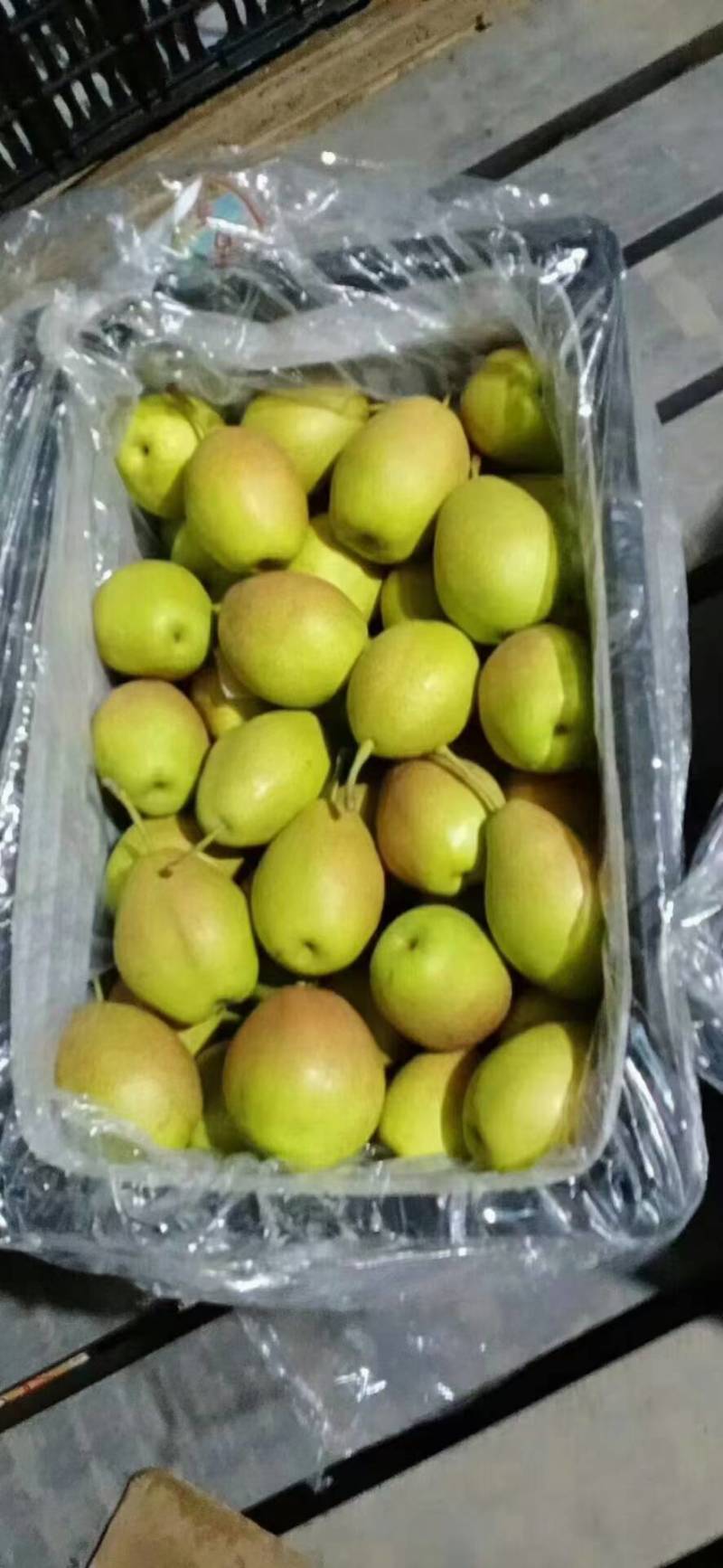 红香酥梨产地。陕西诚信果品合作社