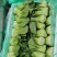 璐通青梗菜上海青种子璐青110100克蔬菜种子